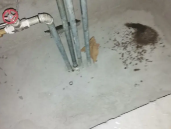 卫生间测漏水价格明细