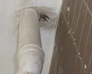 漏水检测哪家好